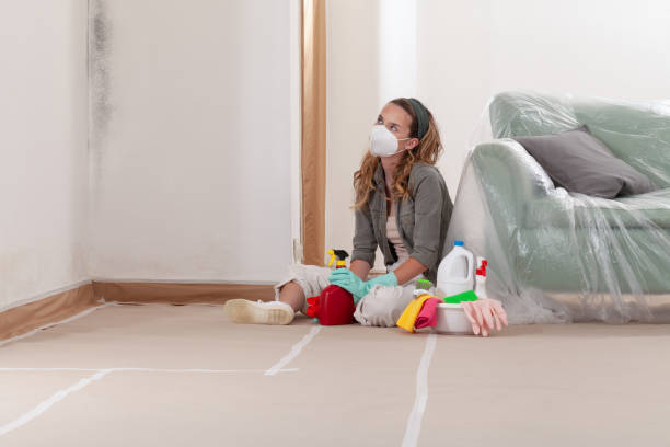 Reliable Black Mold Removal contractor in Orbisonia, PA by WQB Mold Removal